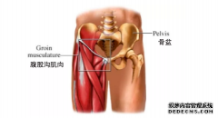 <b>杏鑫开户平台4个瑜伽体式教您轻松打开腹股沟</b>