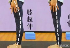 <b>杏鑫注册网站避免手肘膝盖的超伸瑜伽初学者该</b>