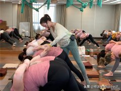 杏鑫网址瑜伽教练培训课程的具体内容是学什么