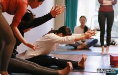 杏鑫注册网站经验之谈：瑜伽老师如何做职业规