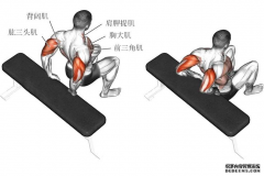 杏鑫开户平台肱三头肌练习方法有什么