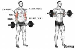 肱二头肌的练习方法是怎样的
